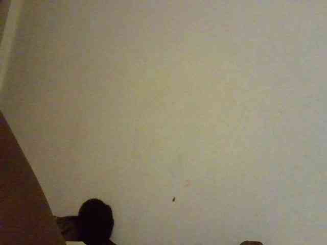 NewBird webcam