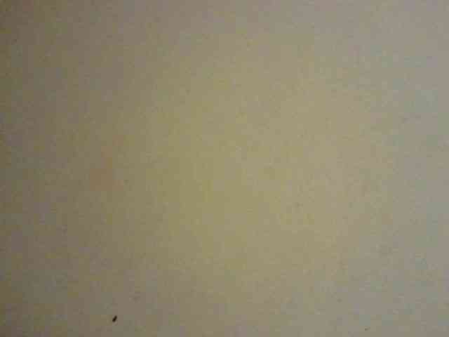 NewBird webcam