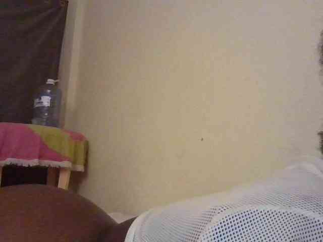 NewBird webcam