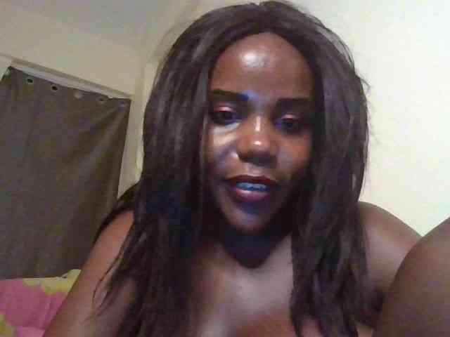 NewBird NewBird