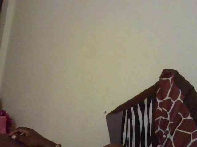 NewBird webcam