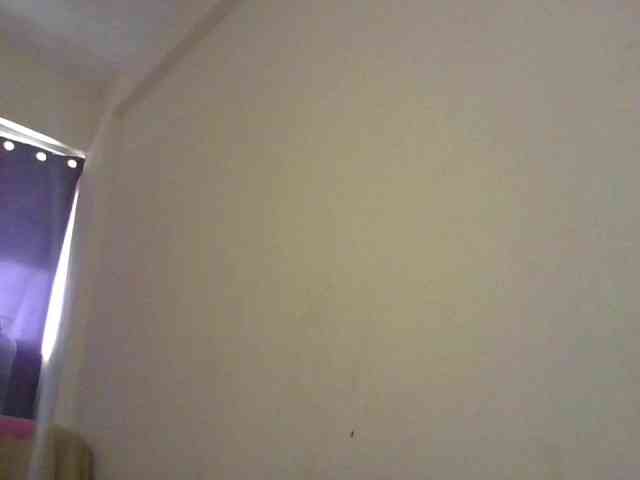 NewBird NewBird
