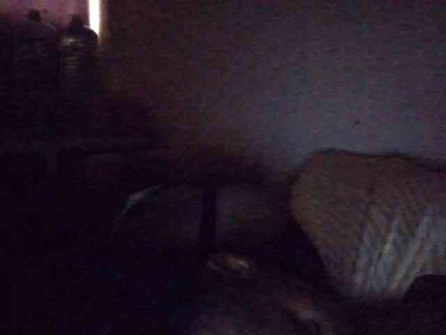 NewBird webcam