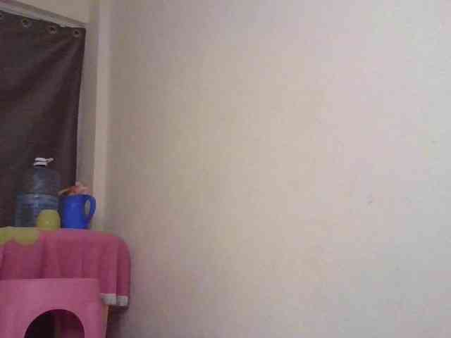 NewBird webcam