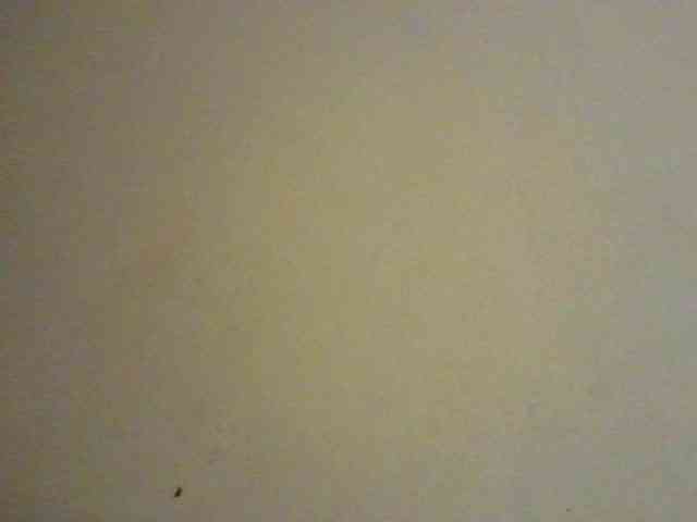 NewBird webcam
