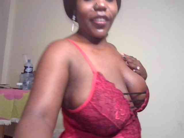 Model: NewBird