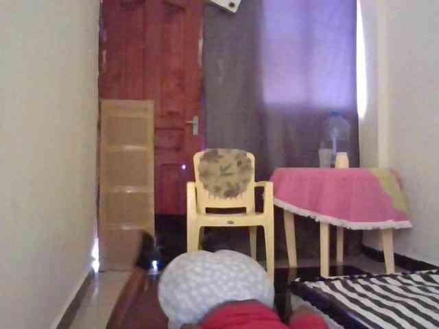 NewBird webcam