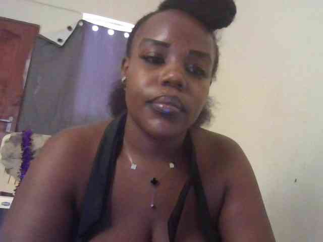 NewBird NewBird