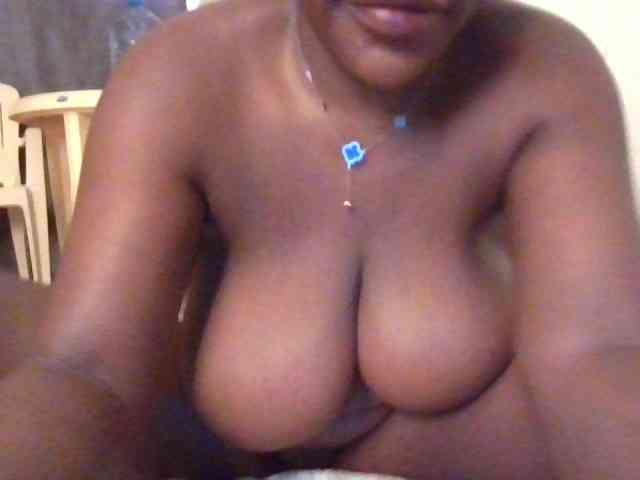 NewBird webcam