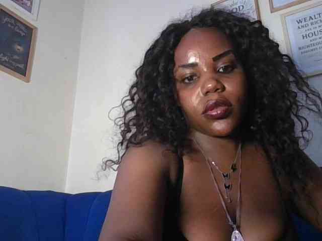 NewBird webcam