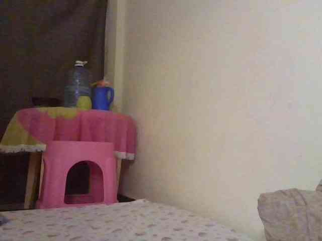 NewBird webcam
