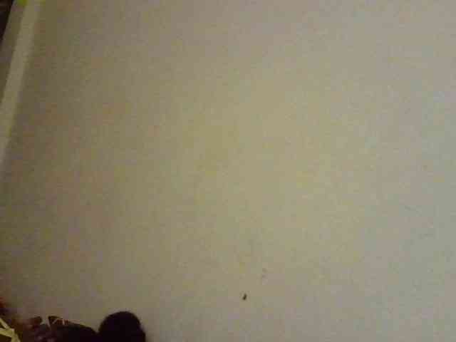 NewBird webcam