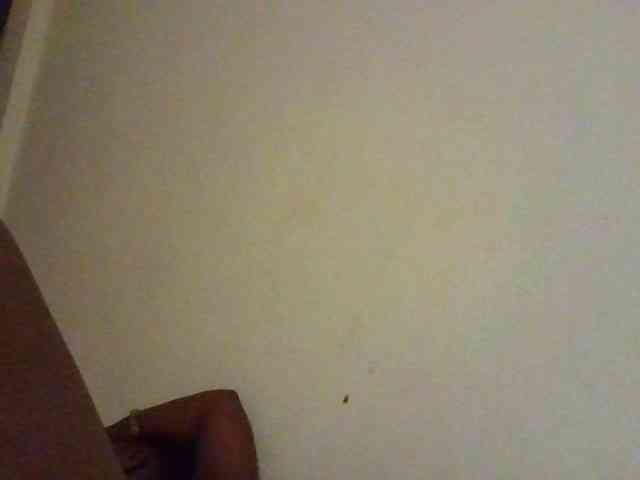 NewBird webcam