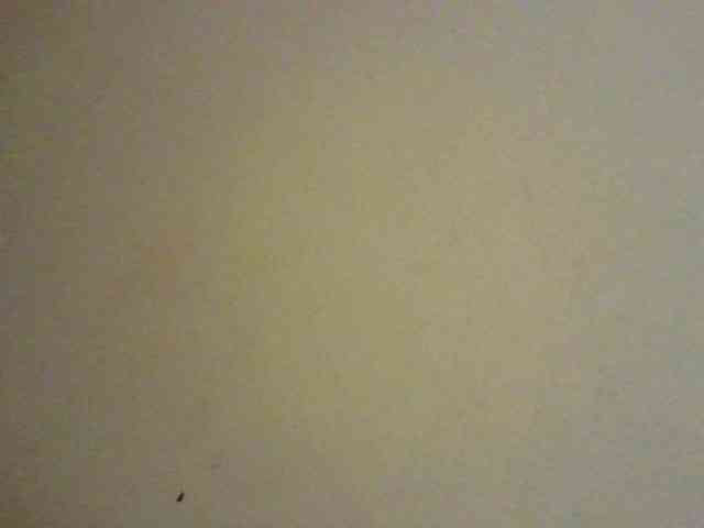 NewBird webcam
