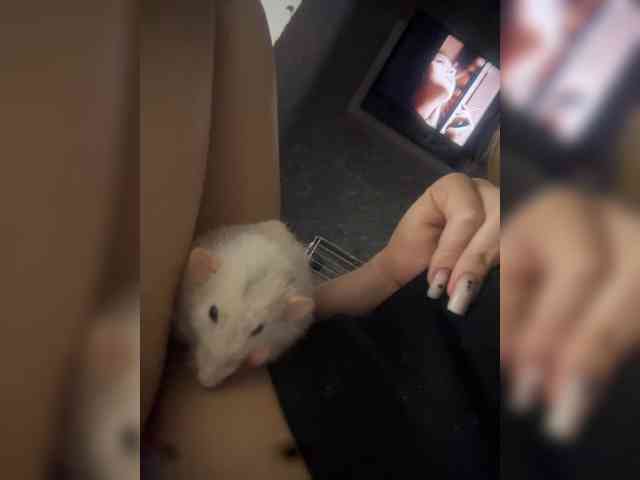 -Melani- webcam