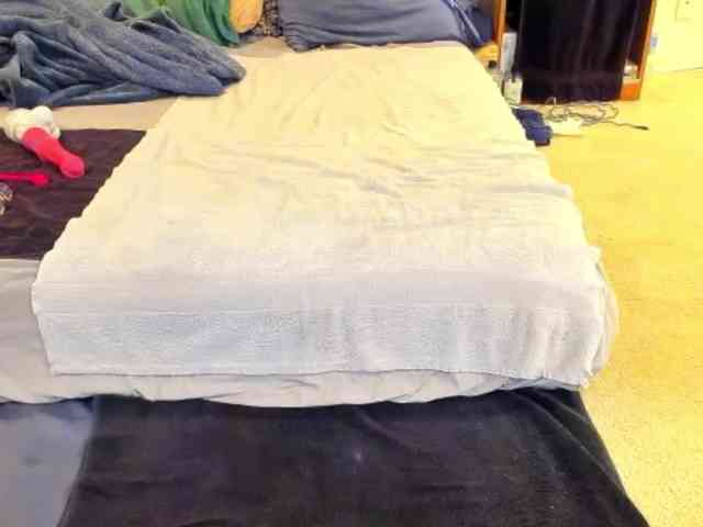 supervagtastic webcam