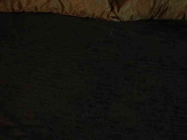 MagikPeachh webcam