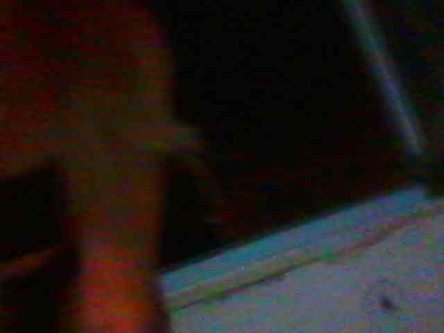 Laurien Sex Cam Show