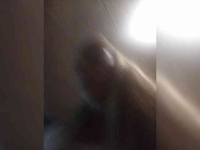 Lauries webcam