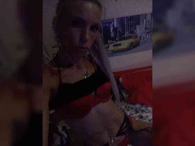 Lauries webcam