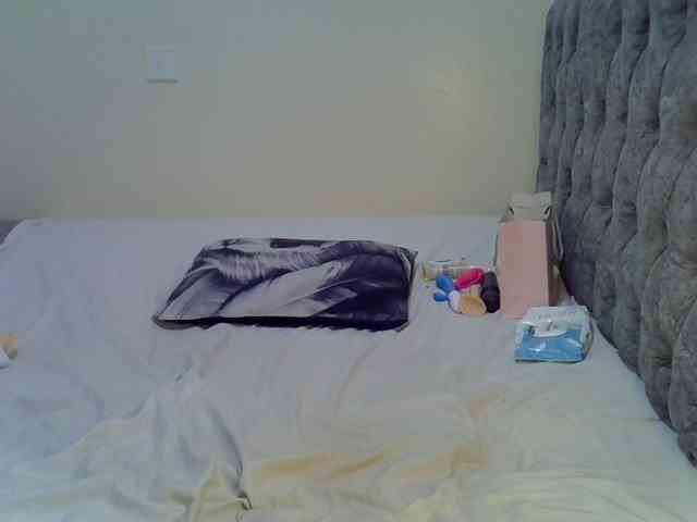Alexa3909 webcam