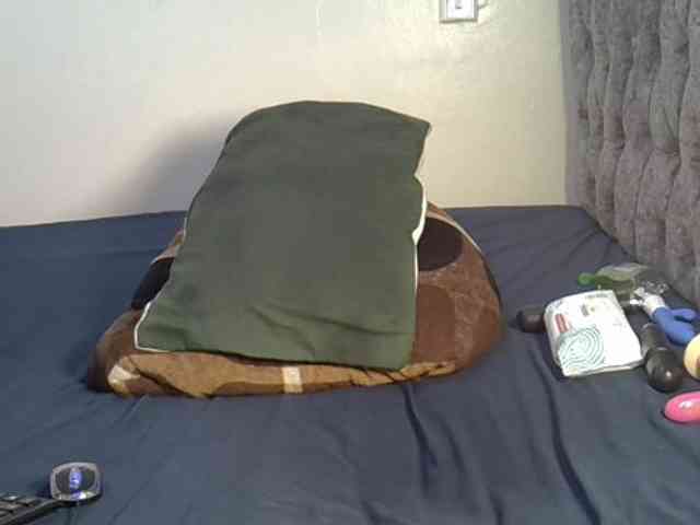 Alexa3909 webcam