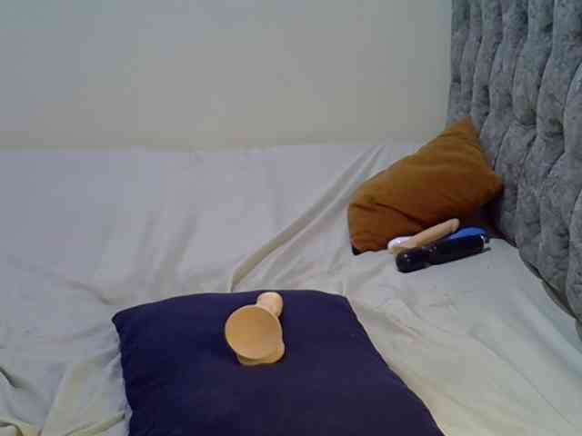 Alexa3909 webcam