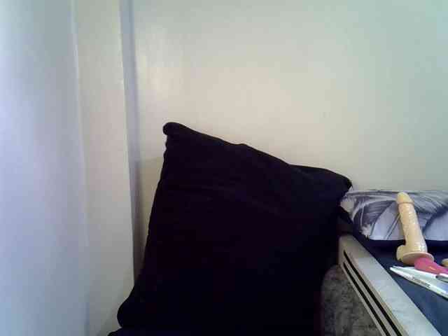 Alexa3909 webcam