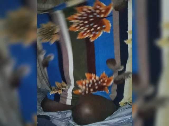freakcurvy8