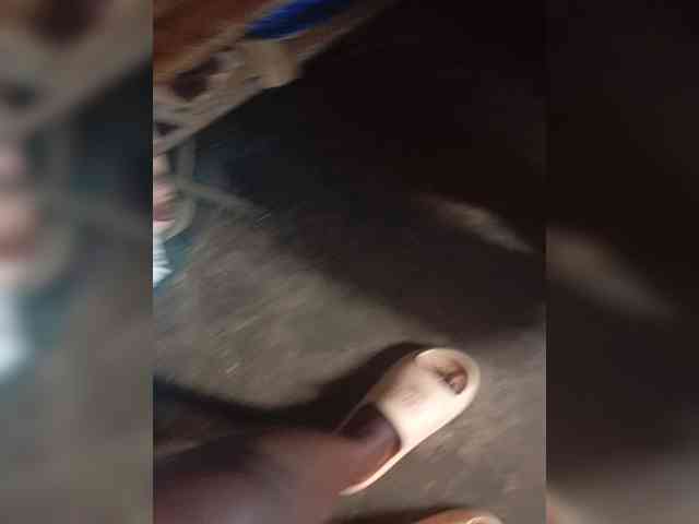 freakcurvy8