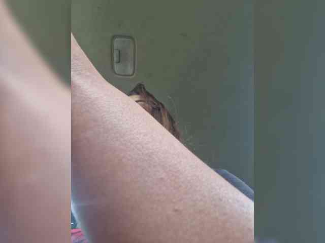 Samyra--Angel webcam