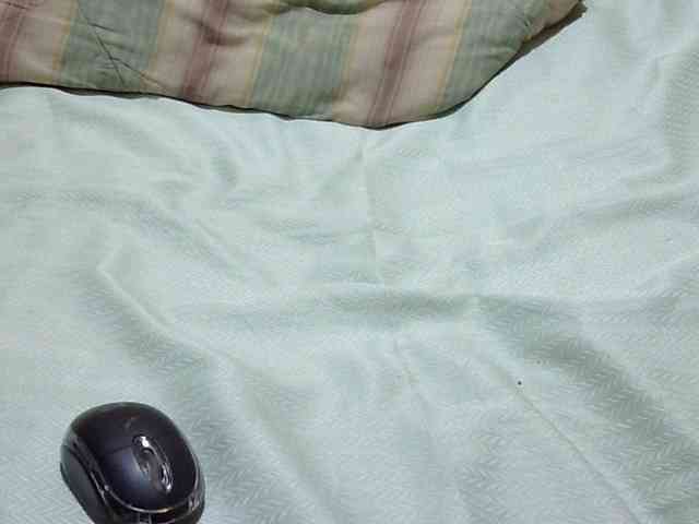 Sexyvilliet webcam