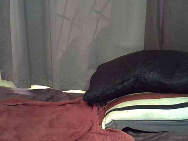 Alitaa webcam