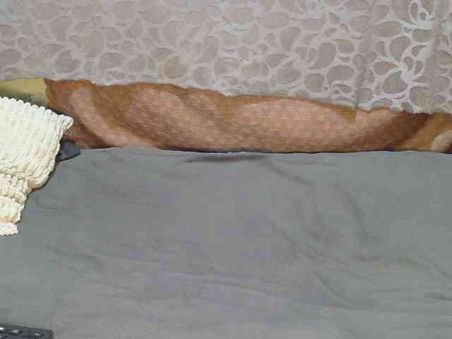 slim-girl01 webcam