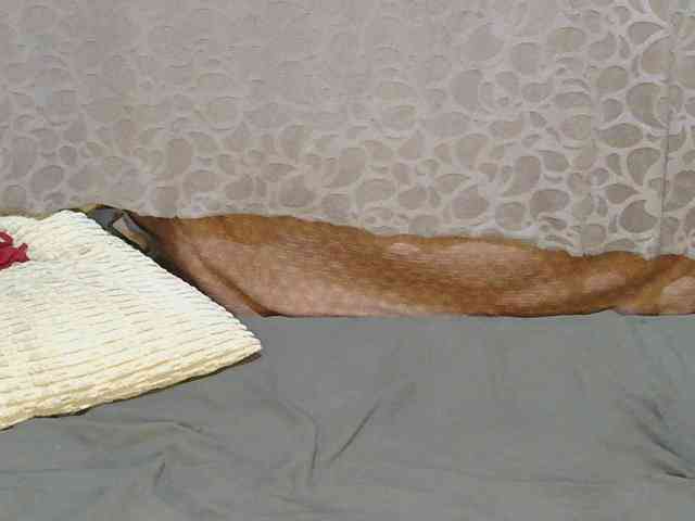 slim-girl01 webcam