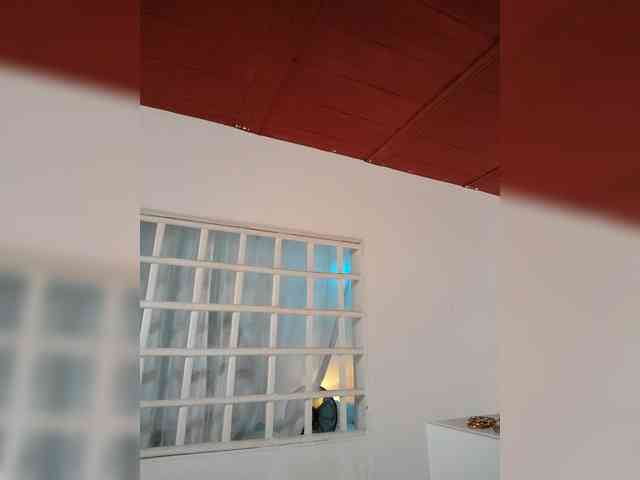 Leaberry webcam