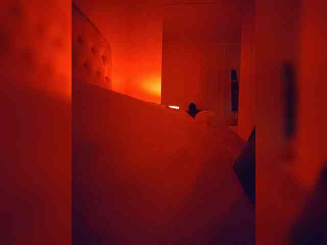 Leaberry webcam