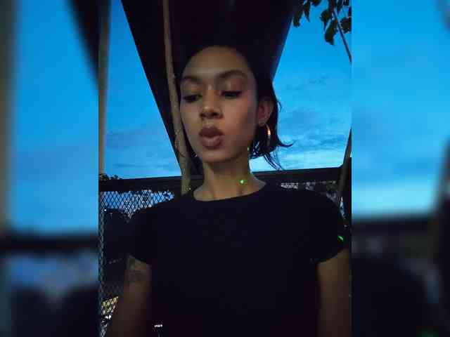 Leaberry webcam