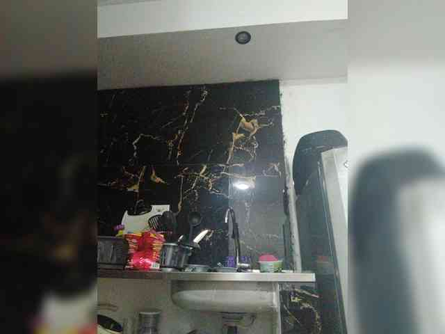 RevySadashiTrue webcam