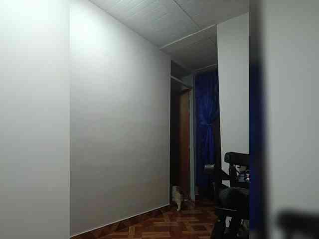 RevySadashiTrue webcam