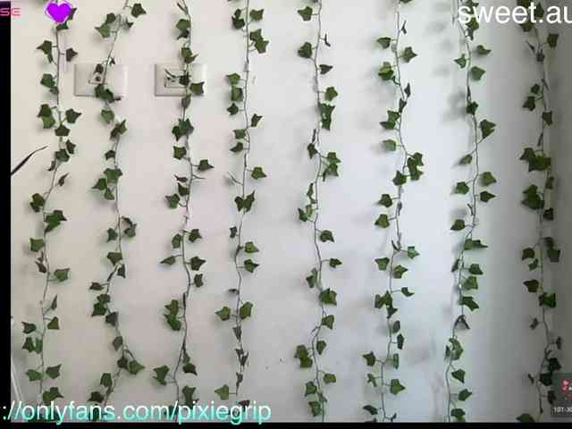 RevySadashiTrue webcam