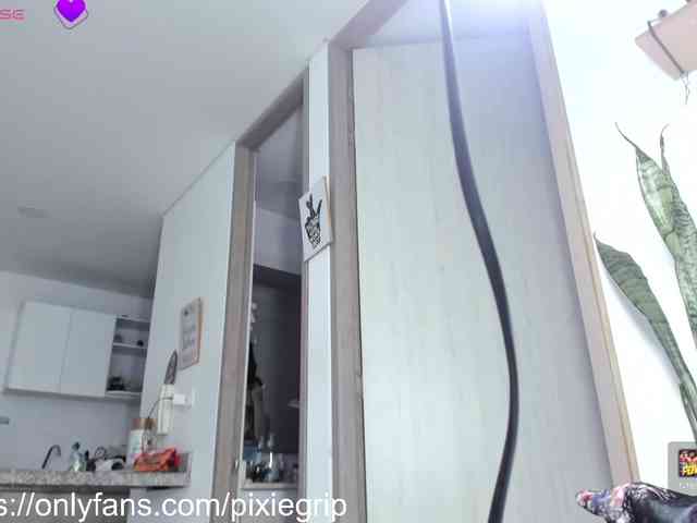RevySadashiTrue webcam
