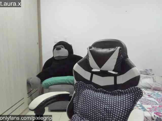 RevySadashiTrue webcam