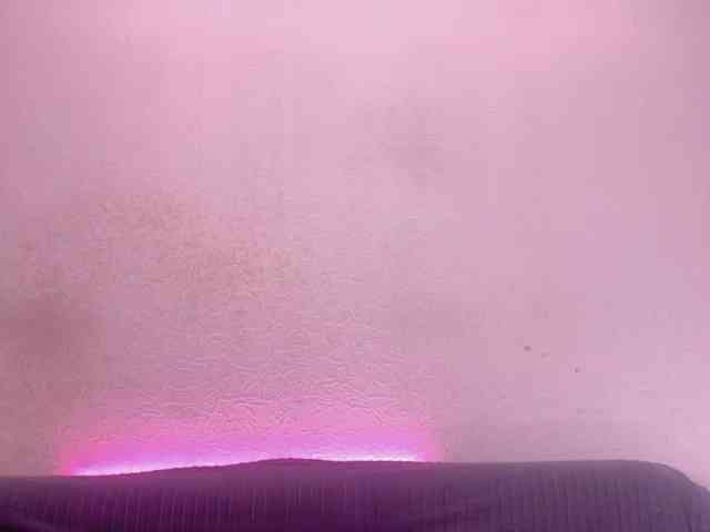 VitaHoins Live Webcam on BongaCams