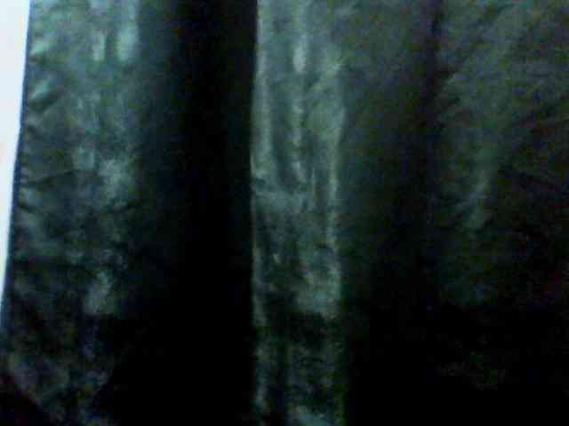 Anastessss2113 webcam