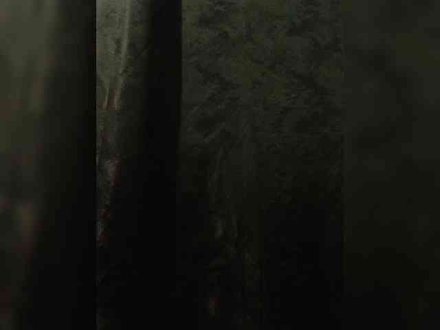 Anastessss2113 webcam