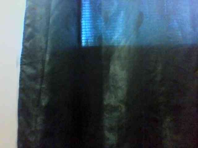 Anastessss2113 webcam