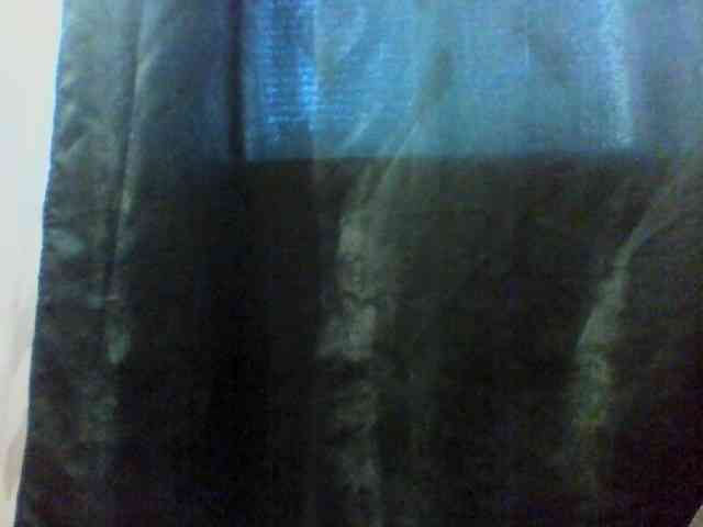 Anastessss2113 webcam