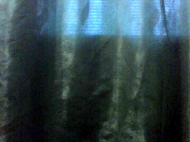 Vitalina272127 webcam