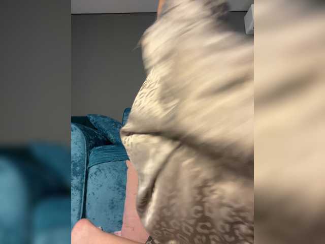 wild__cat